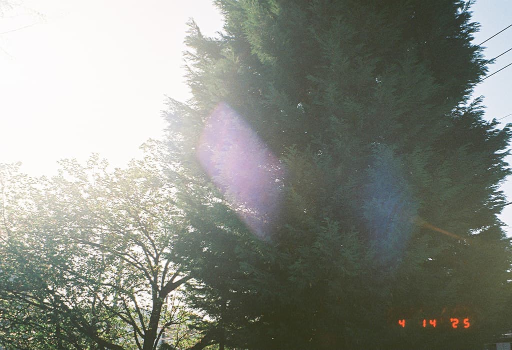 Slide 0