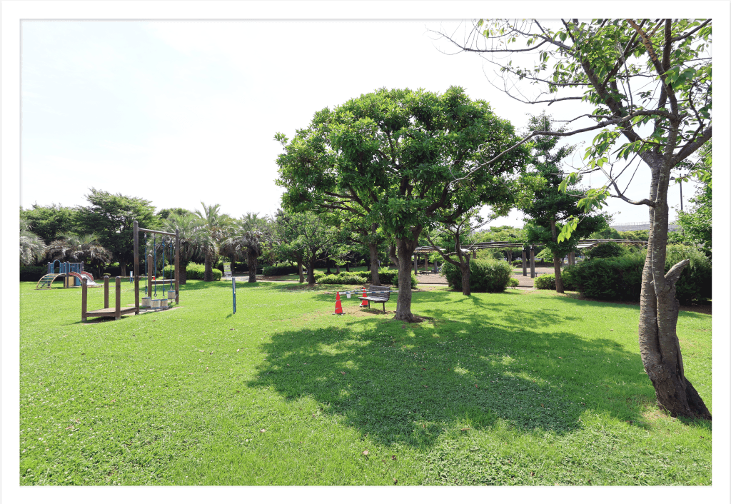 Slide 1